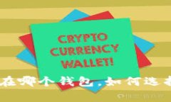 USDT存放在哪个钱包，如何选择最优钱包