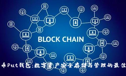 比特币Put钱包：数字资产安全存储与管理的最佳选择