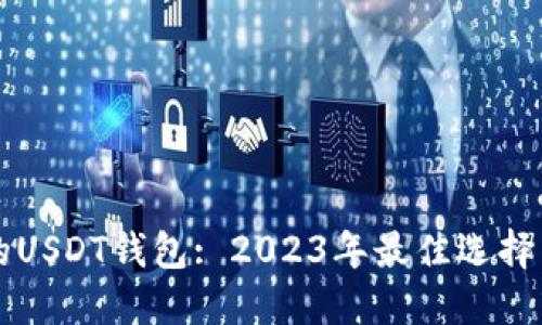 比较安全的USDT钱包: 2023年最佳选择与使用指南