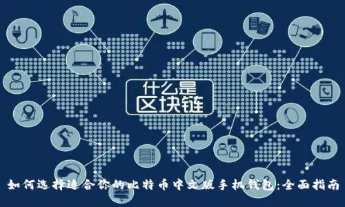 如何选择适合你的比特币中文版手机钱包：全面指南