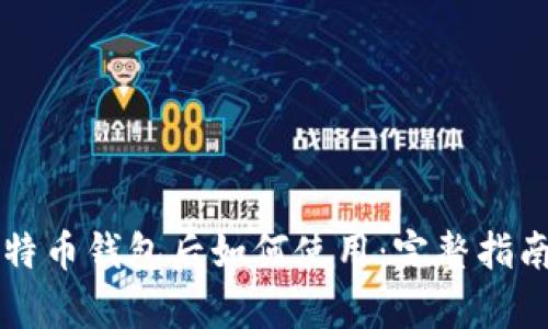 下载比特币钱包后如何使用：完整指南与解析