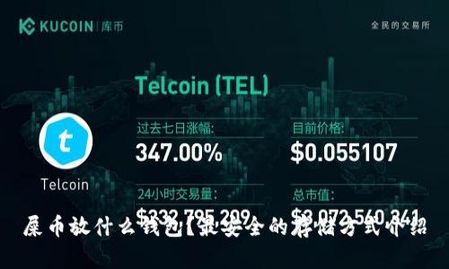 屎币放什么钱包？最安全的存储方式介绍