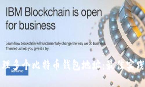 如何管理多个比特币钱包地址：最佳实践与技巧