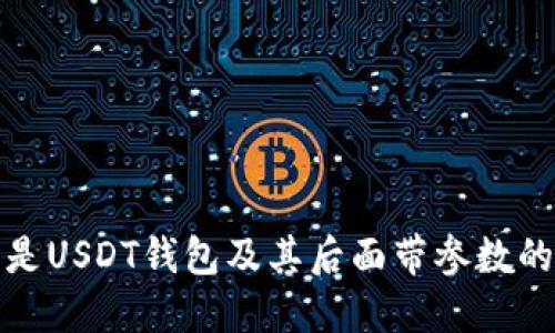 什么是USDT钱包及其后面带参数的意义