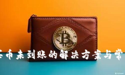 TPWallet买币未到账的解决方案与常见问题解答