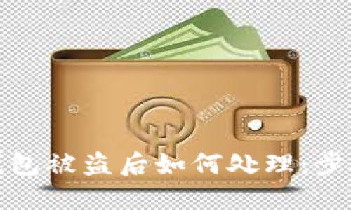 比特币钱包被盗后如何处理：步骤与建议