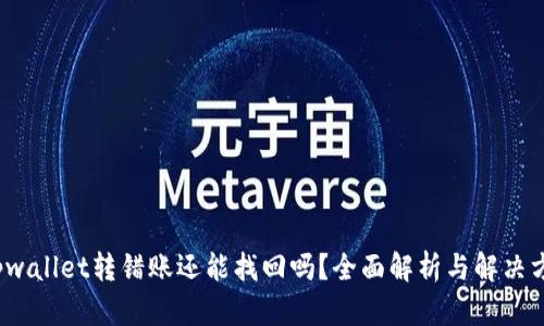  tpwallet转错账还能找回吗？全面解析与解决方案