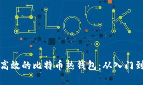 如何制作安全高效的比特币热钱包：从入门到高级实用指南