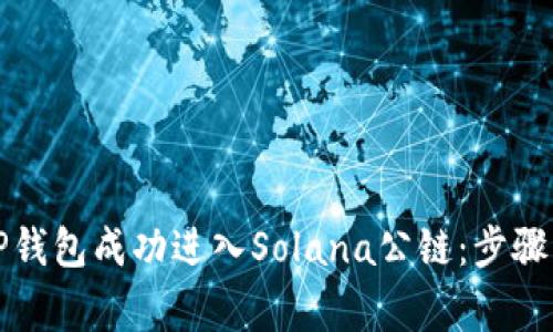 如何通过TP钱包成功进入Solana公链：步骤与注意事项