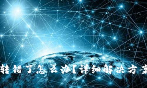 TPWallet币转错了怎么办？详细解决方案与预防措施