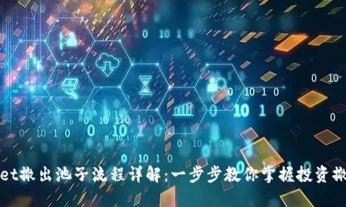 TPWallet撤出池子流程详解：一步步教你掌握投资撤出技巧