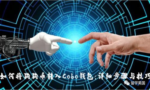 如何将狗狗币转入Cobo钱包：详细步骤与技巧