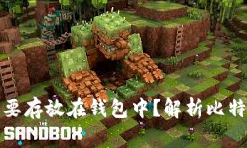 比特币为什么需要存放在钱包中？解析比特币钱包的重要性