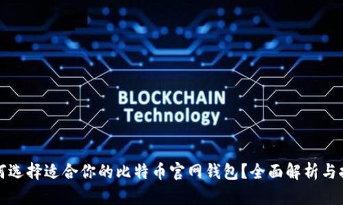 如何选择适合你的比特币官网钱包？全面解析与推荐