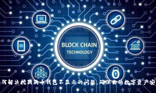 如何解决挖狗狗币钱包不显示的问题，确保你的数字资产安全