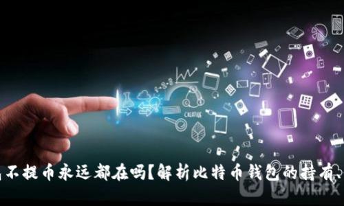 比特币钱包不提币永远都在吗？解析比特币钱包的持有、保管与风险