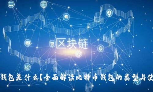 比特币钱包是什么？全面解读比特币钱包的类型与使用技巧