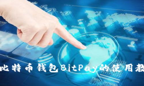 全面了解比特币钱包BitPay的使用教程与技巧