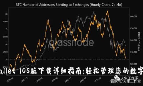 TPWallet iOS版下载详细指南：轻松管理您的数字资产