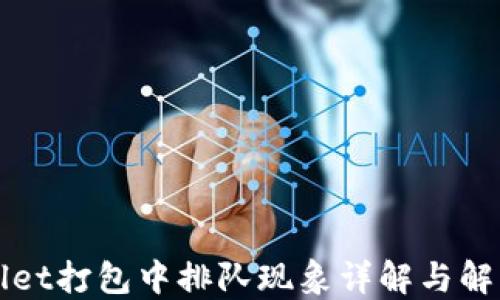 
TPWallet打包中排队现象详解与解决方案