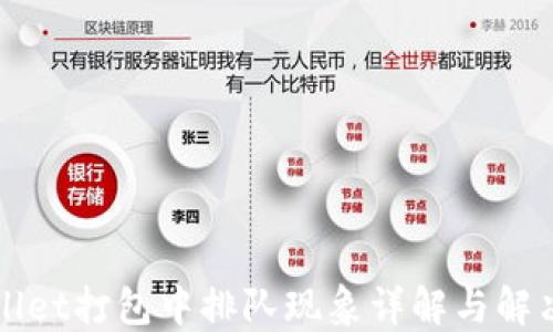 
TPWallet打包中排队现象详解与解决方案