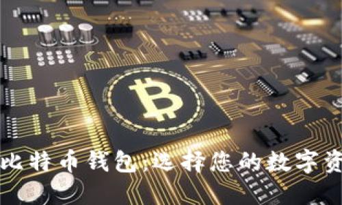 全球著名的比特币钱包：选择您的数字资产保护伴侣