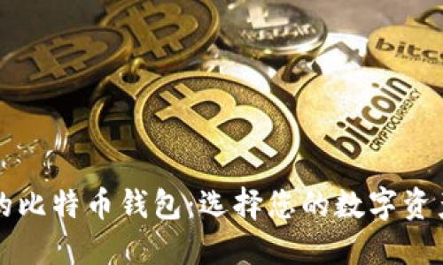 全球著名的比特币钱包：选择您的数字资产保护伴侣