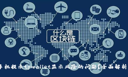 :如何处理手机提示tpwallet显示风险的问题？全面解析与解决方案