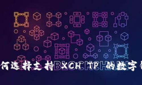 : 如何选择支持 XCH TP 的数字钱包？