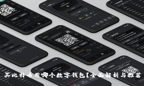 买比特币用哪个数字钱包？全面解析与推荐