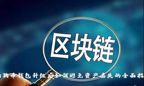 狗狗币钱包升级后如何避免资产丢失的全面指南