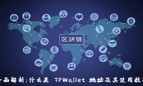  
全面解析：什么是 TPWallet 地址及其使用技巧