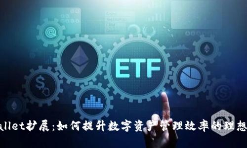 tpwallet扩展：如何提升数字资产管理效率的理想选择