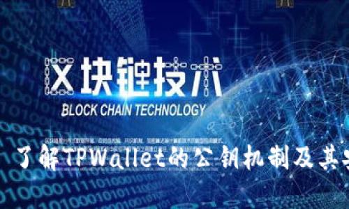 ### 了解TPWallet的公钥机制及其安全性