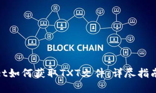 tpwallet如何获取TXT文件：详尽指南与技巧