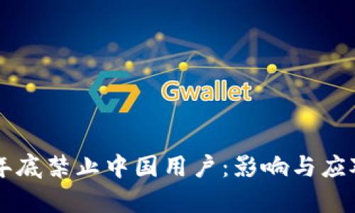 TPWallet年底禁止中国用户：影响与应对策略分析