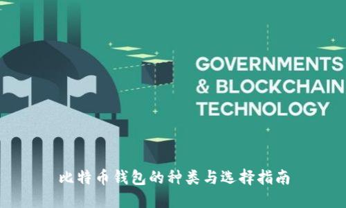 比特币钱包的种类与选择指南