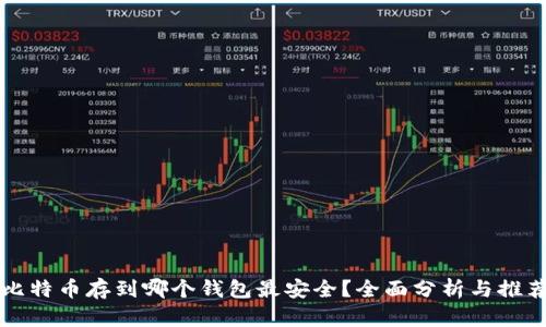 比特币存到哪个钱包最安全？全面分析与推荐