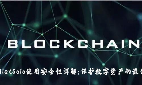 TPWalletSolo使用安全性详解：保护数字资产的最佳选择
