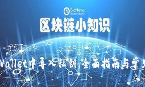 如何在TPWallet中导入私钥：全面指南与常见问题解答