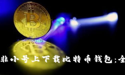如何在非小号上下载比特币钱包：全面指南