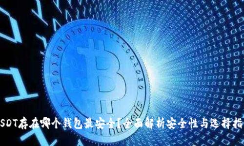 USDT存在哪个钱包最安全？全面解析安全性与选择指南