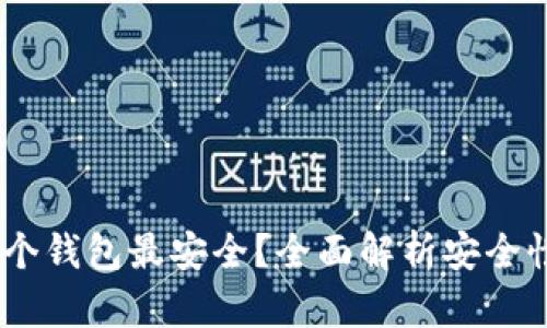 USDT存在哪个钱包最安全？全面解析安全性与选择指南