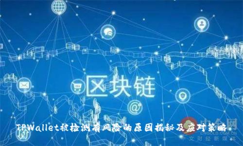 TPWallet被检测有风险的原因揭秘及应对策略
