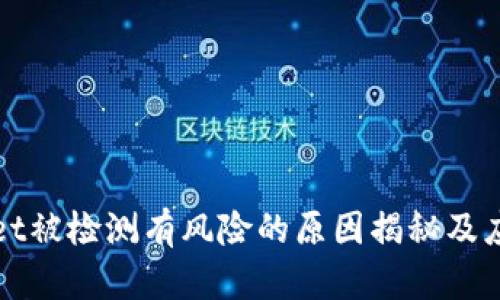 TPWallet被检测有风险的原因揭秘及应对策略