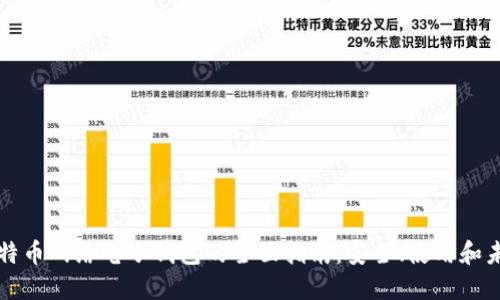 比特币网络电子钱包的全面指南：安全、使用和未来