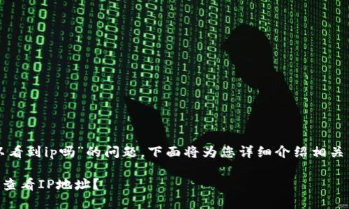 关于“tpwallet登录可以看到ip吗”的问题，下面将为您详细介绍相关内容及可能的相关问题。

TPWallet登录时是否能查看IP地址？
