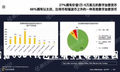 导入助记词后USDT钱包没有币？解析原因及解决方案