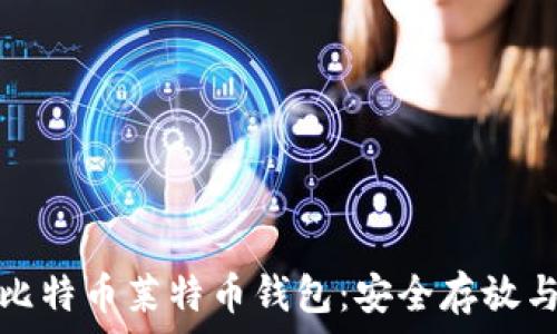   
全面解析比特币莱特币钱包：安全存放与管理策略