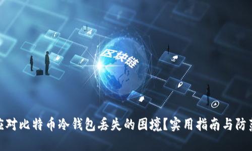 如何应对比特币冷钱包丢失的困境？实用指南与防范措施